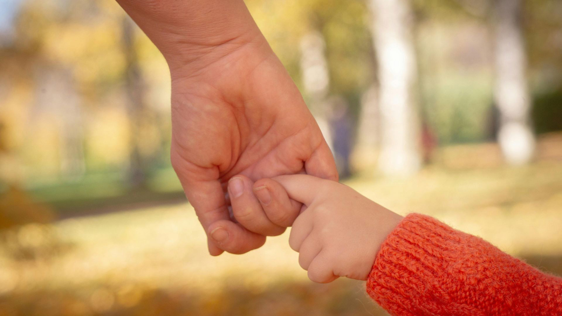 Main d'adulte tenant la main d'un jeune enfant représentant le soutien des parents vers leur enfant